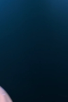 bandicam_2026-07-15_17-08-02-251.jpg