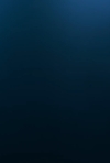bandicam_2026-07-15_17-08-02-614.jpg