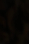 bandicam_2026-07-15_17-08-04-424.jpg