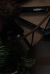 bandicam_2026-07-15_16-57-11-319.jpg