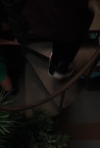 bandicam_2026-07-15_16-57-12-535.jpg