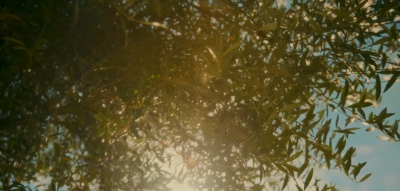 bandicam_2026-07-15_17-58-33-406.jpg
