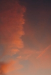 bandicam_2026-07-15_17-59-13-694.jpg