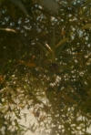 bandicam_2026-07-15_18-01-18-975.jpg